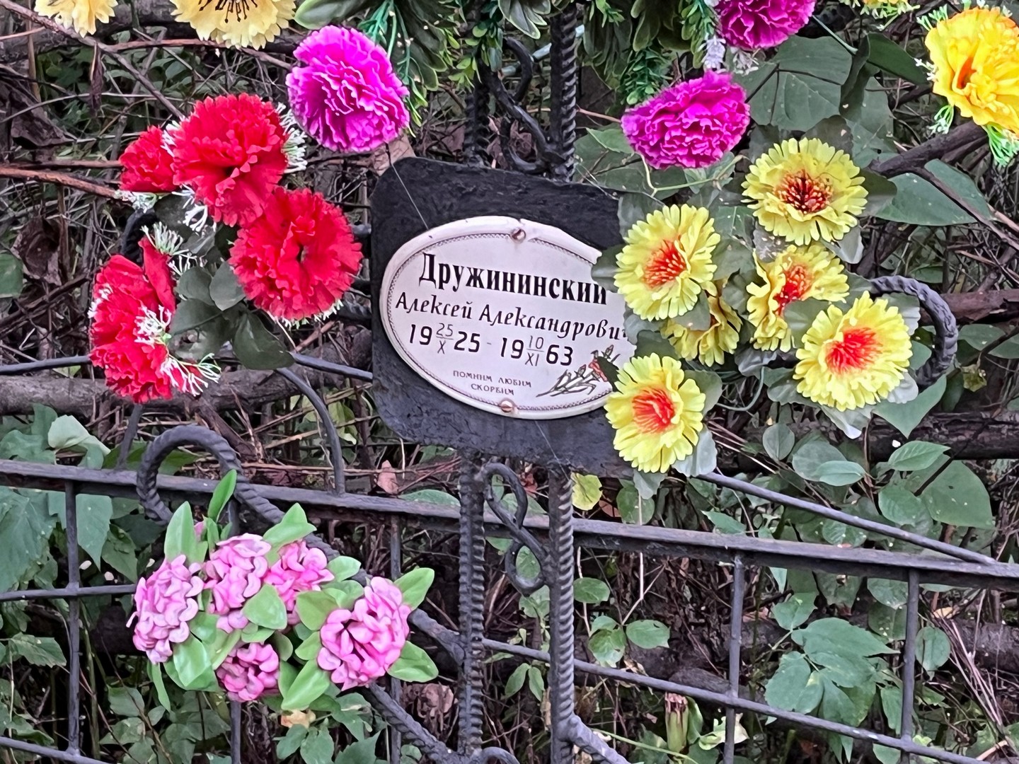 Дружининский