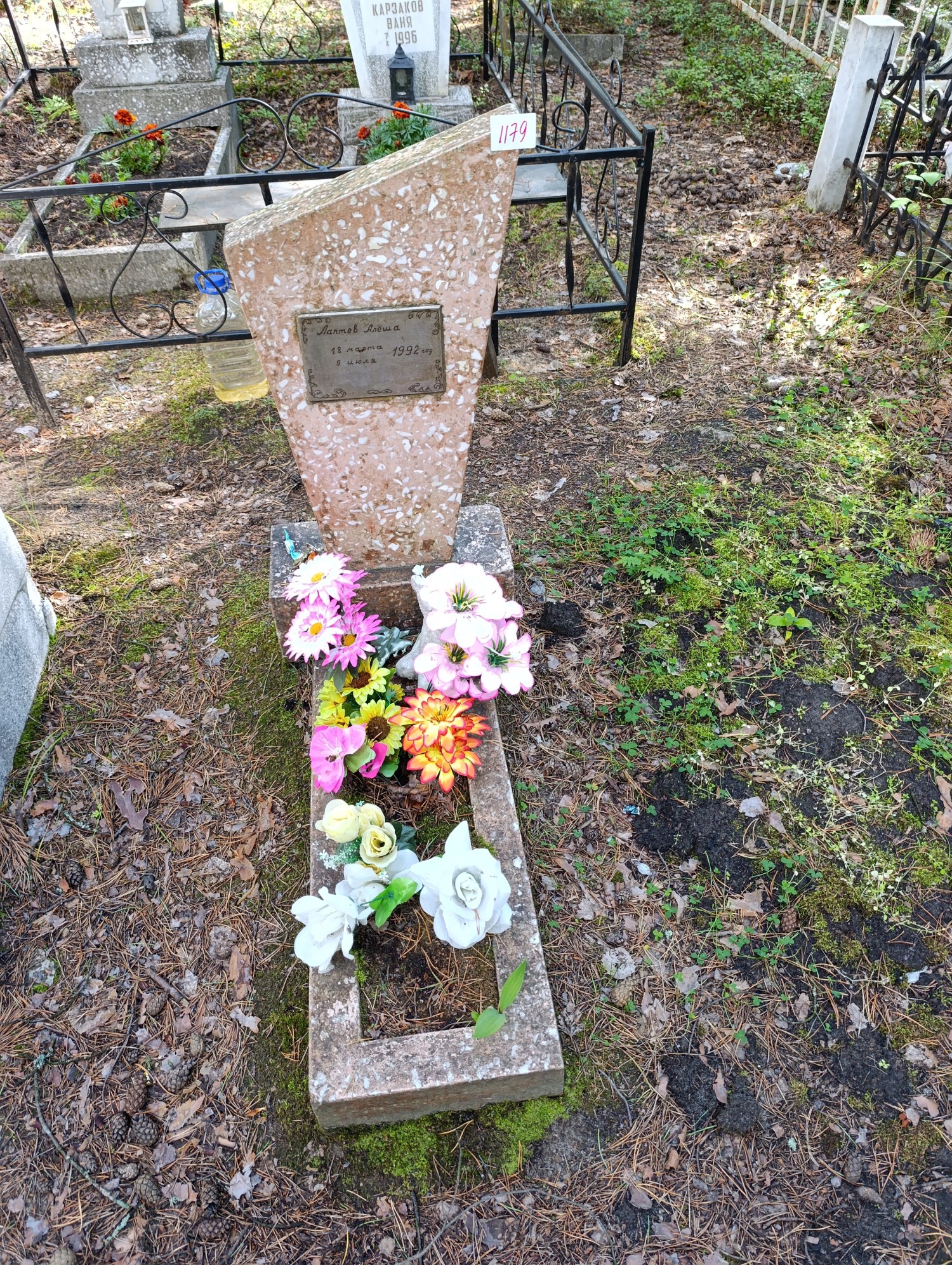 Лаптев Алексей