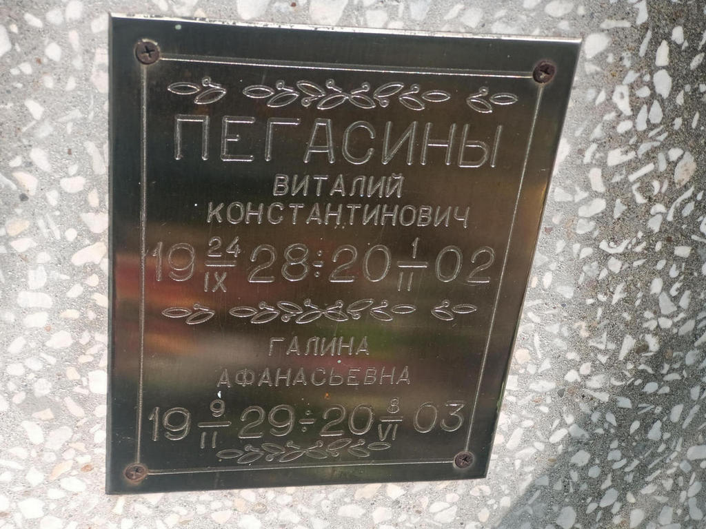 Пегасин Виталий Константинович