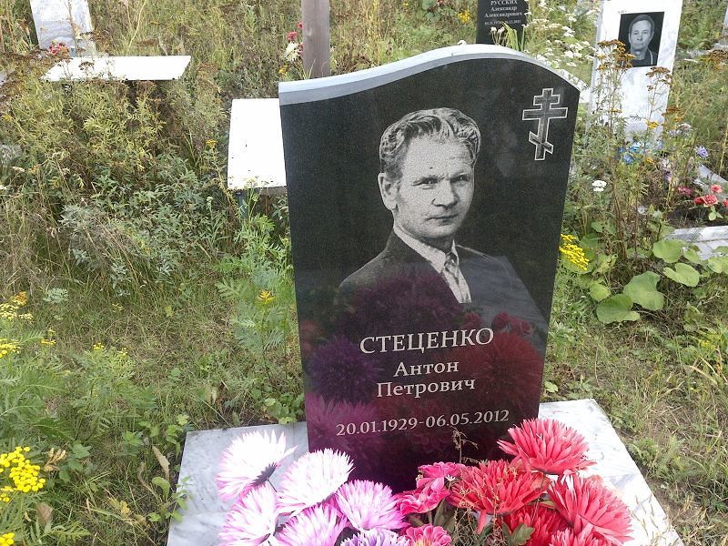 Стеценко