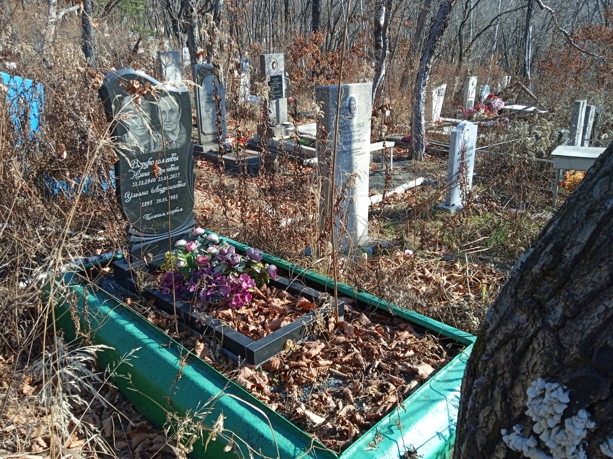 Варфоломеева Ульяна Андрияновна