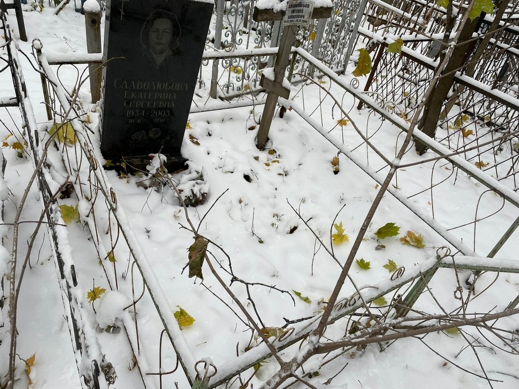 Славолюбова Екатерина Сергеевна
