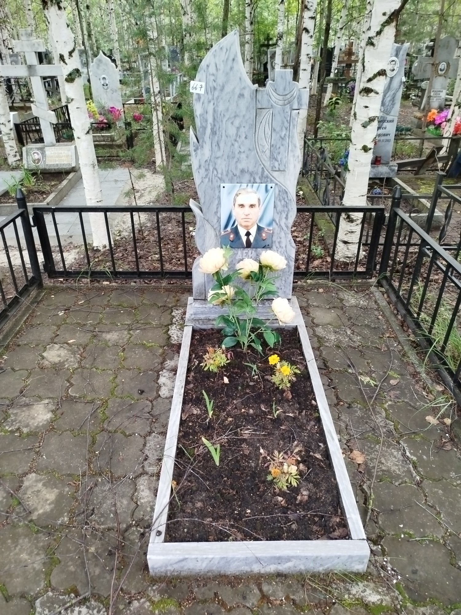 Дейнеко Анатолий Максимович
