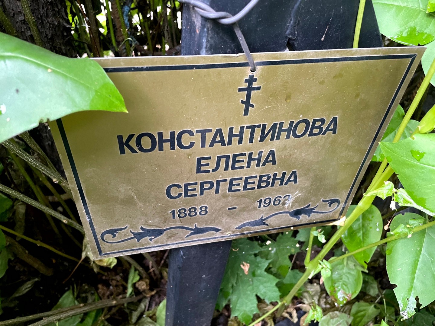 Константинова