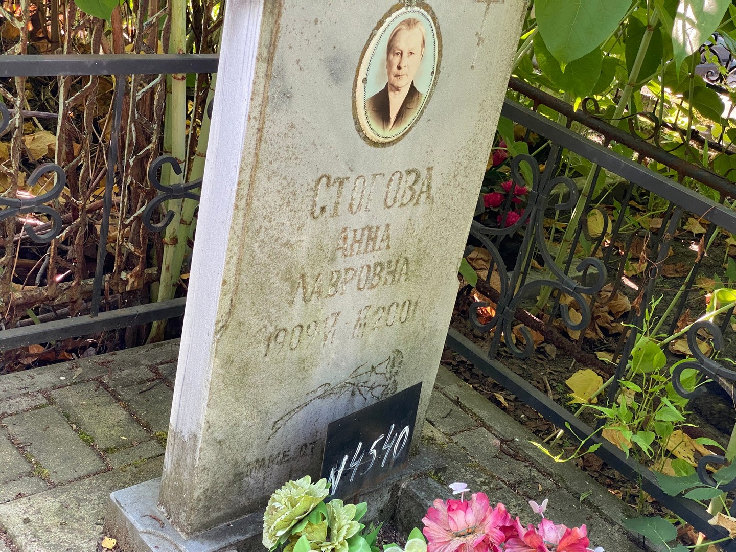 Стогова