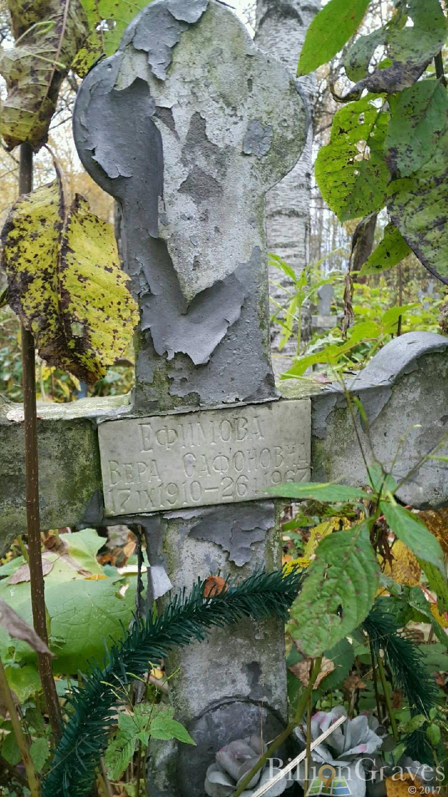 Ефимова Вера Сафоновна