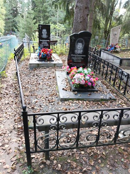 Сулейманова Алевтина Владимировна