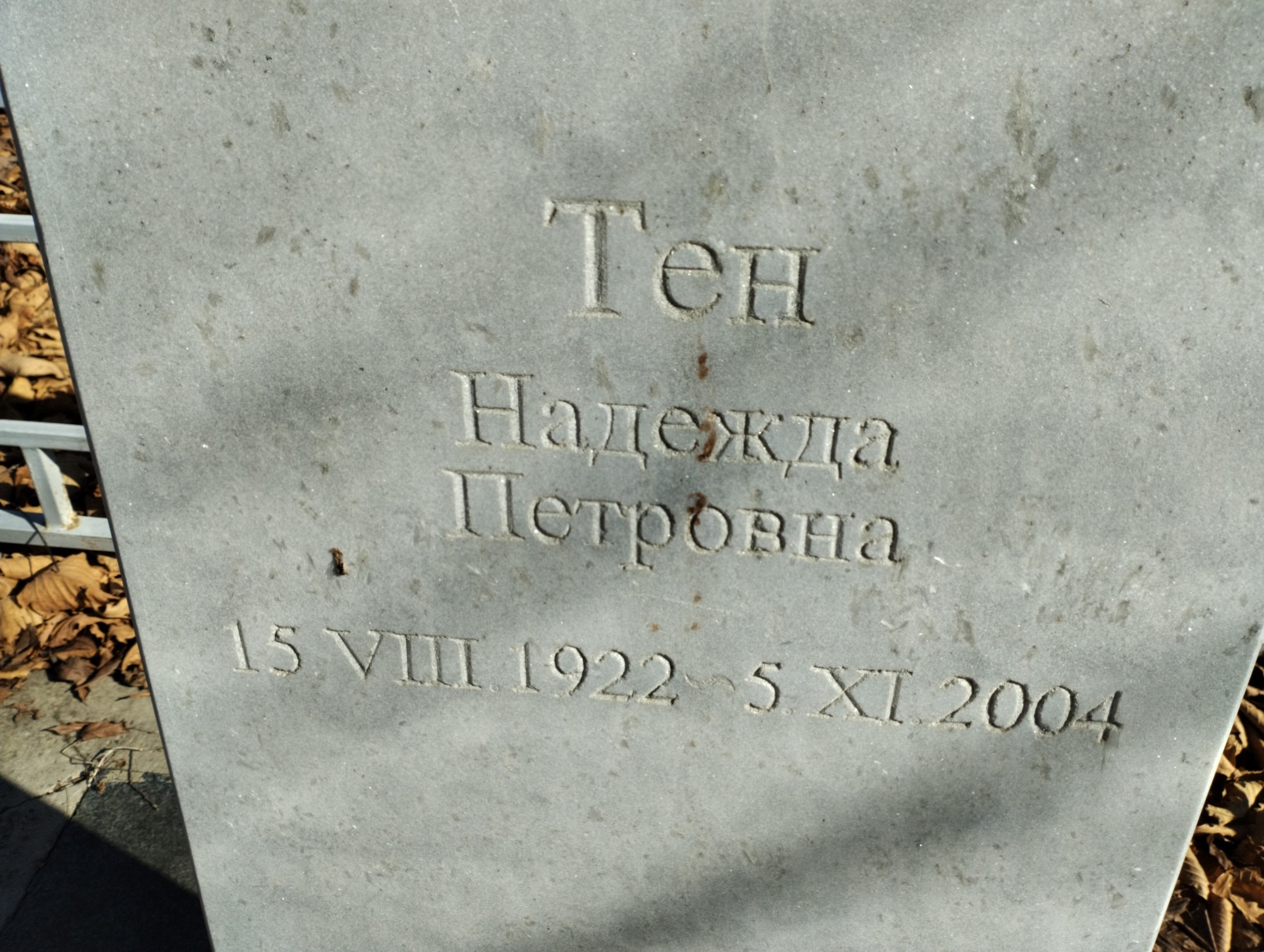 Тен Надежда Петровна