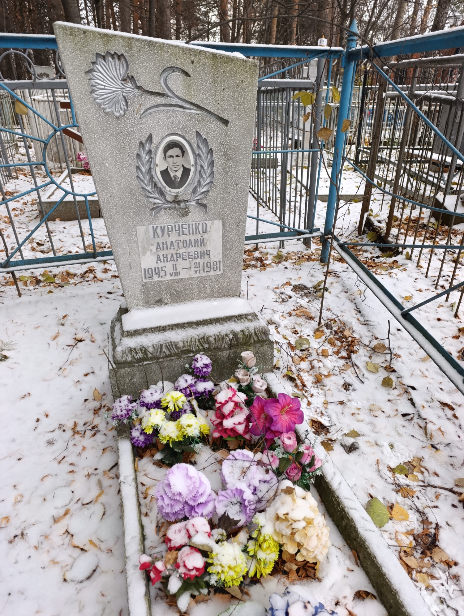 Курченко Анатолий Андреевич