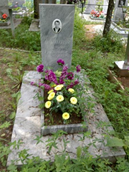 Вишнев Владимир Григорьевич