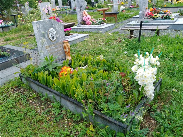 Скороходов Константин Михайлович