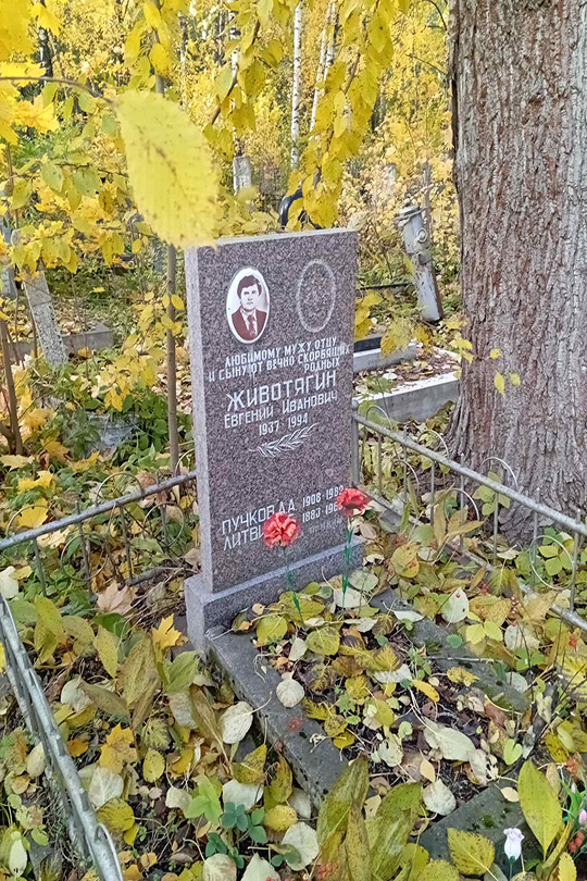 Пучков А. Г.