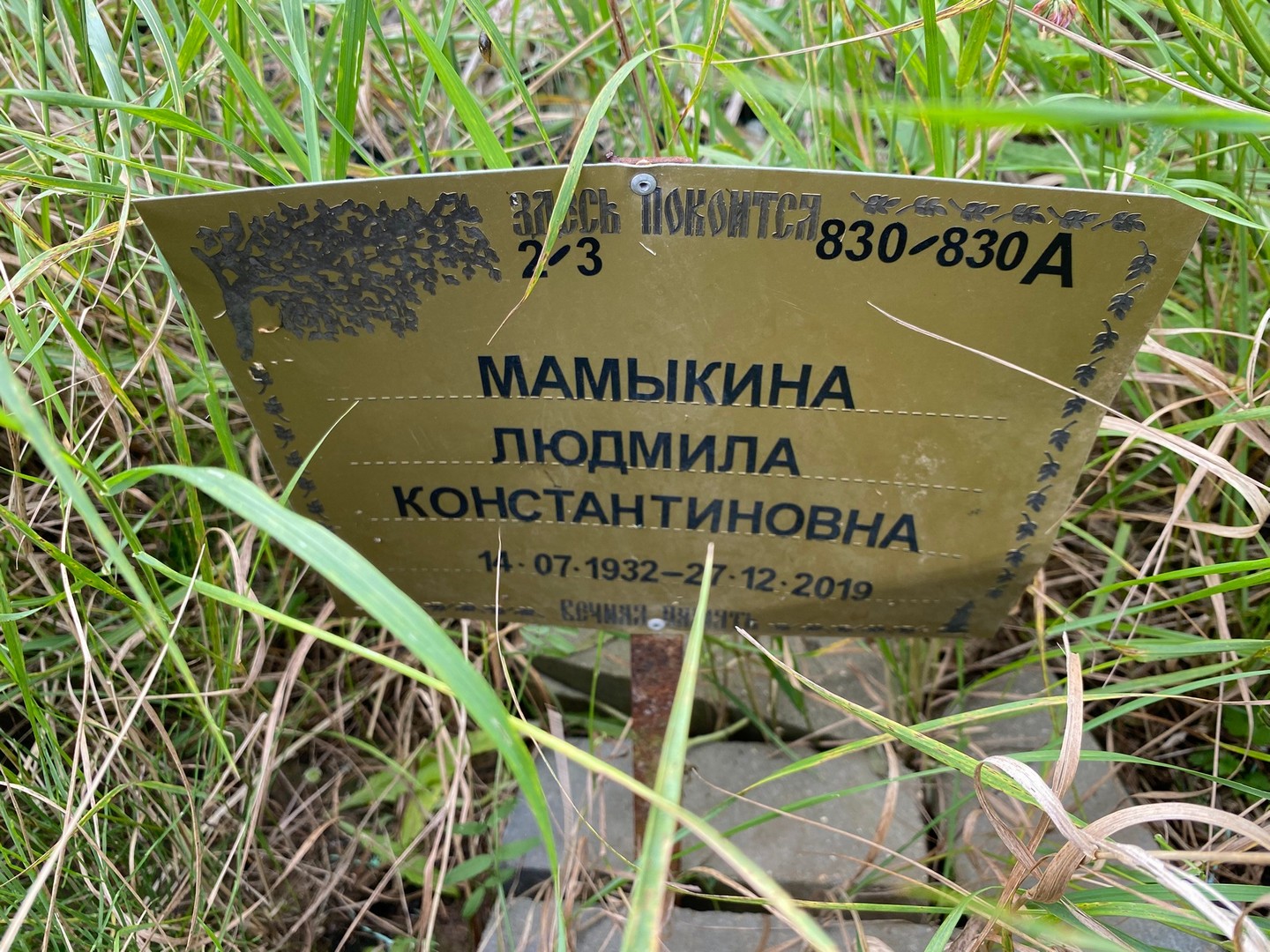 Мамыкина
