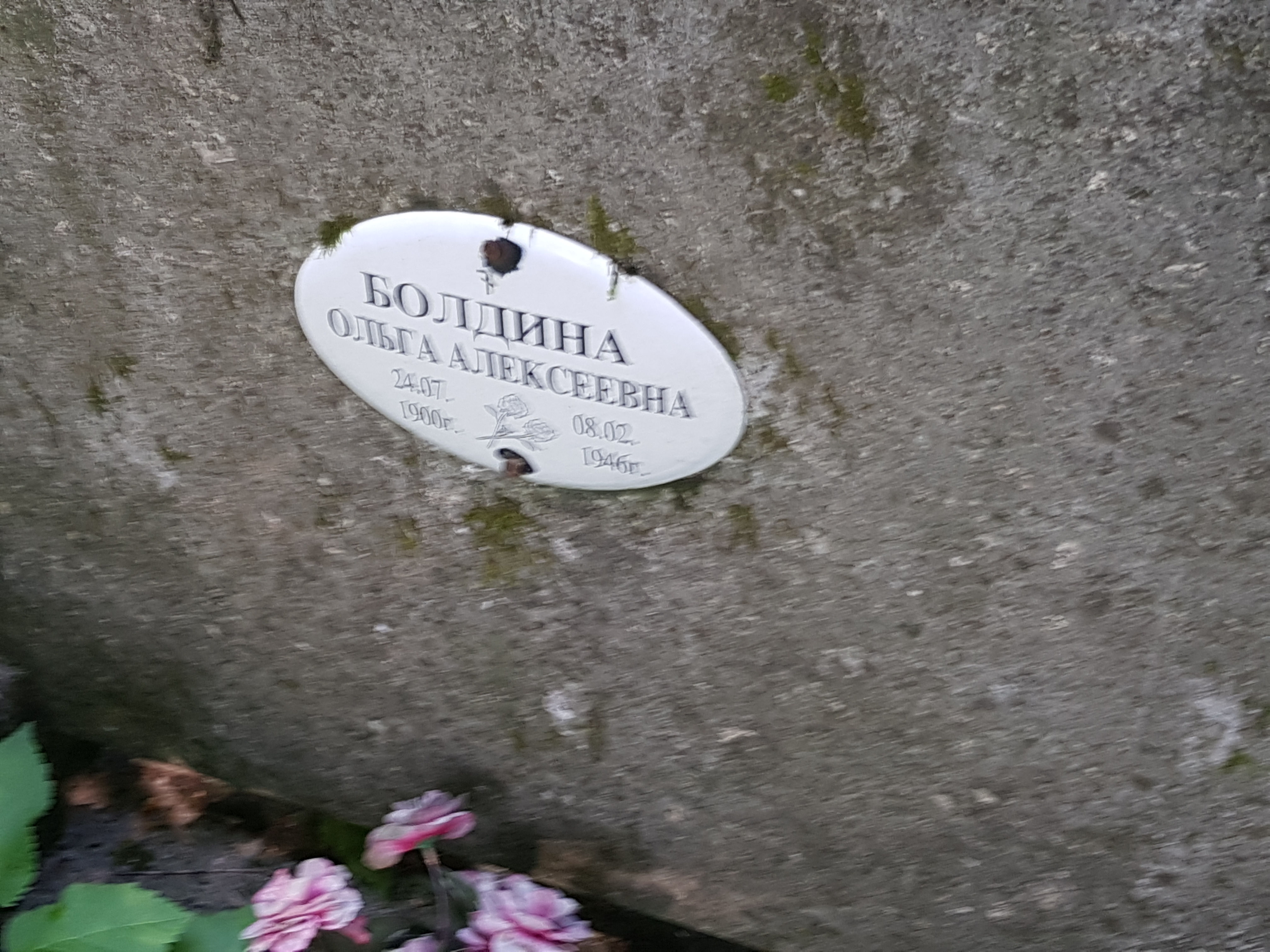 Болдина Ольга Алексеевна