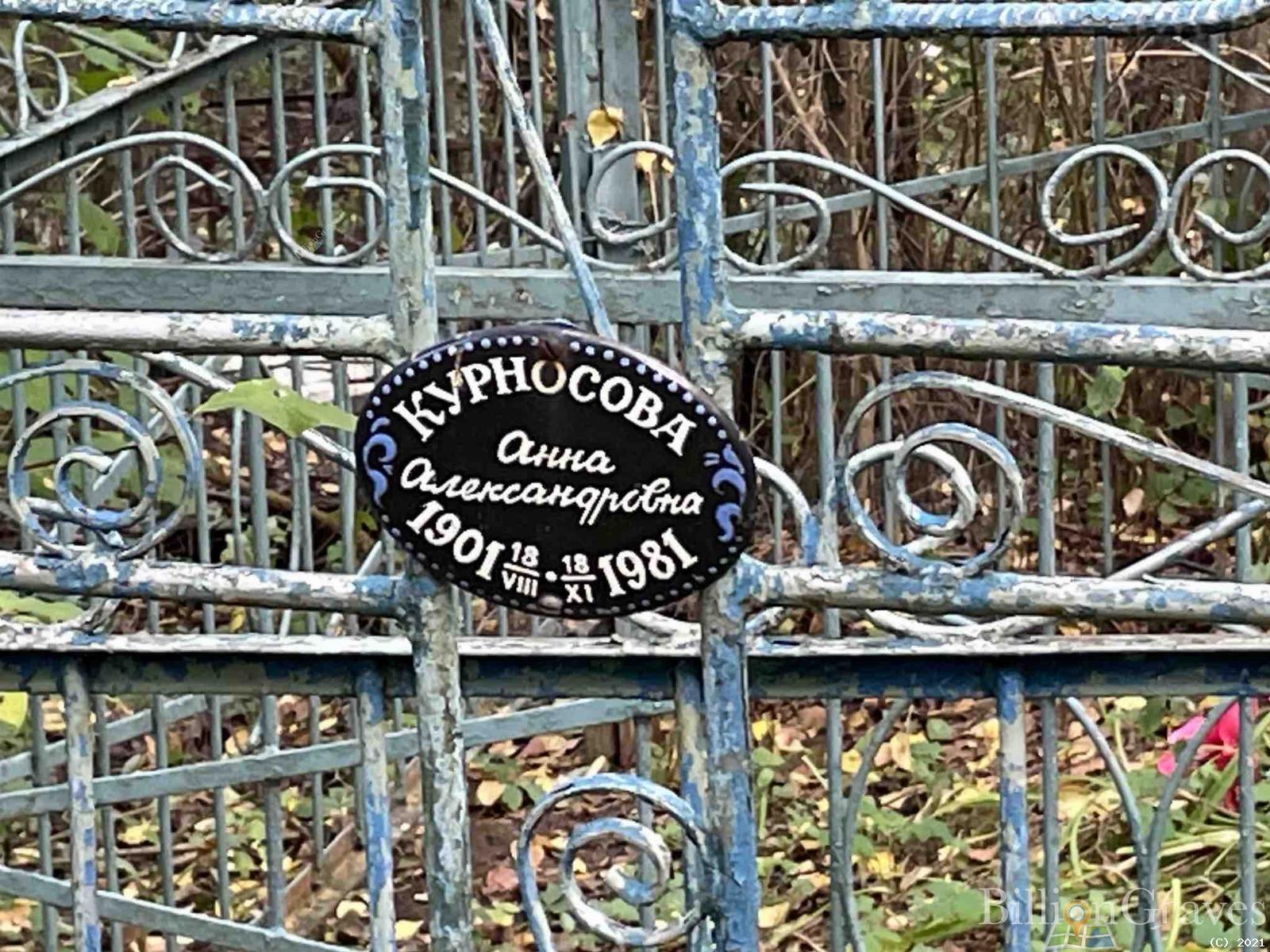 Курносова Анна Александровна