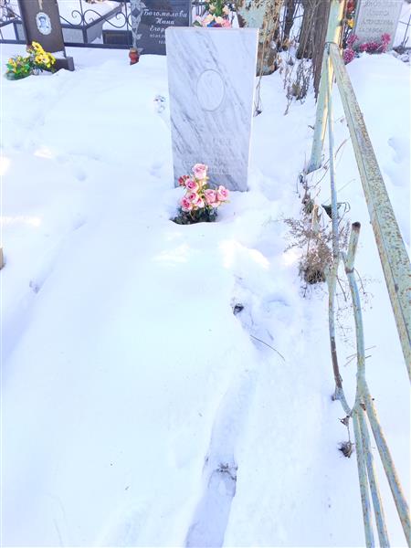 Букова Алевтина Аалександр