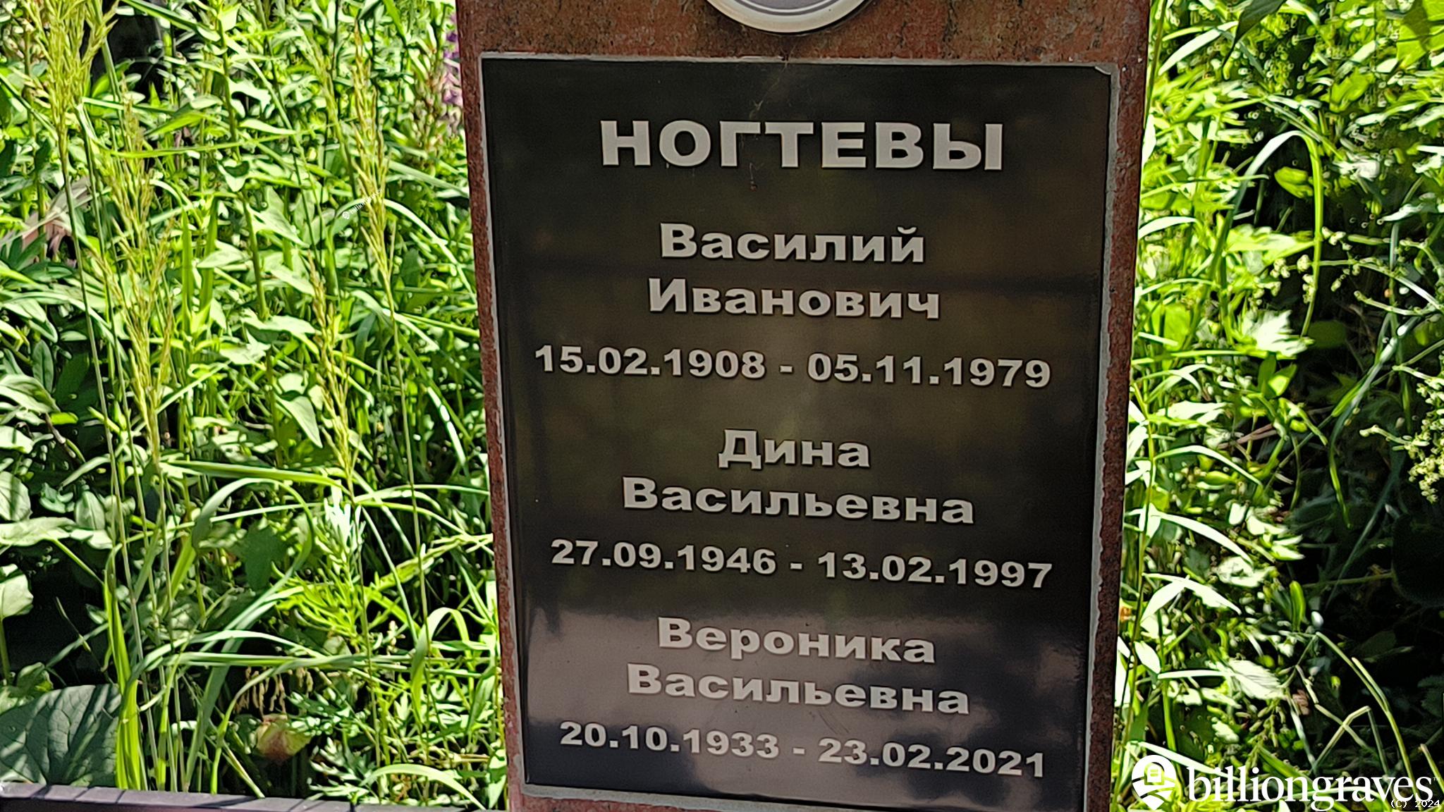 Ногтева Дина Васильевна