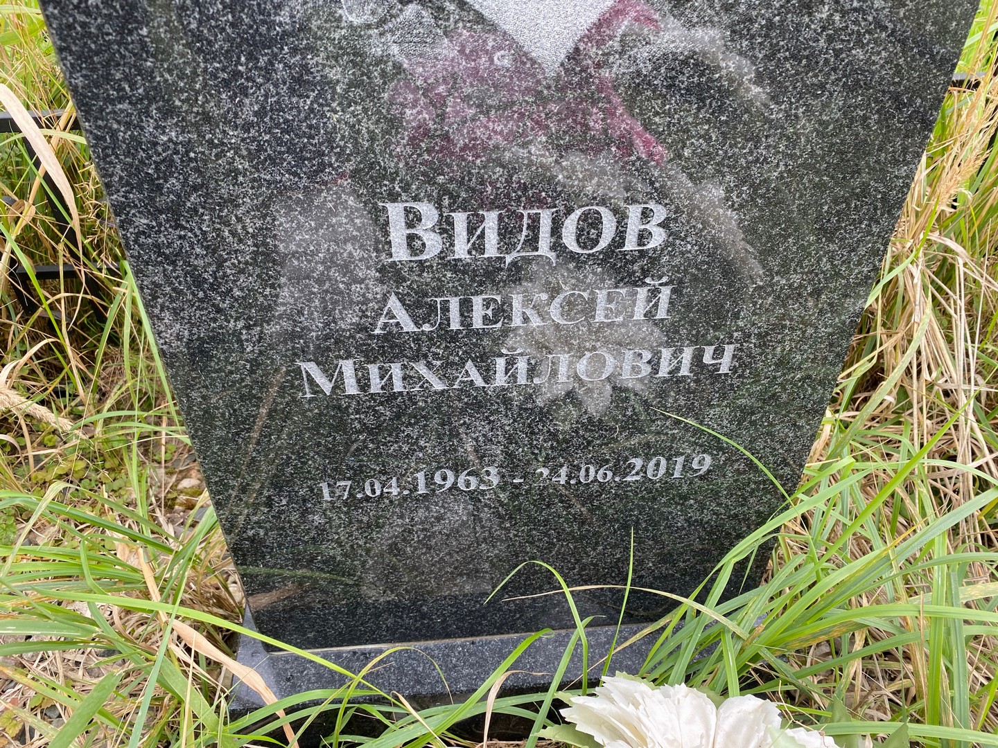 Видов