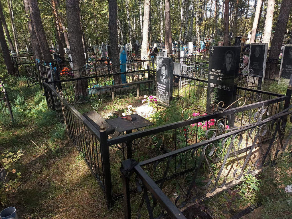 Шешменев Михаил Васильевич