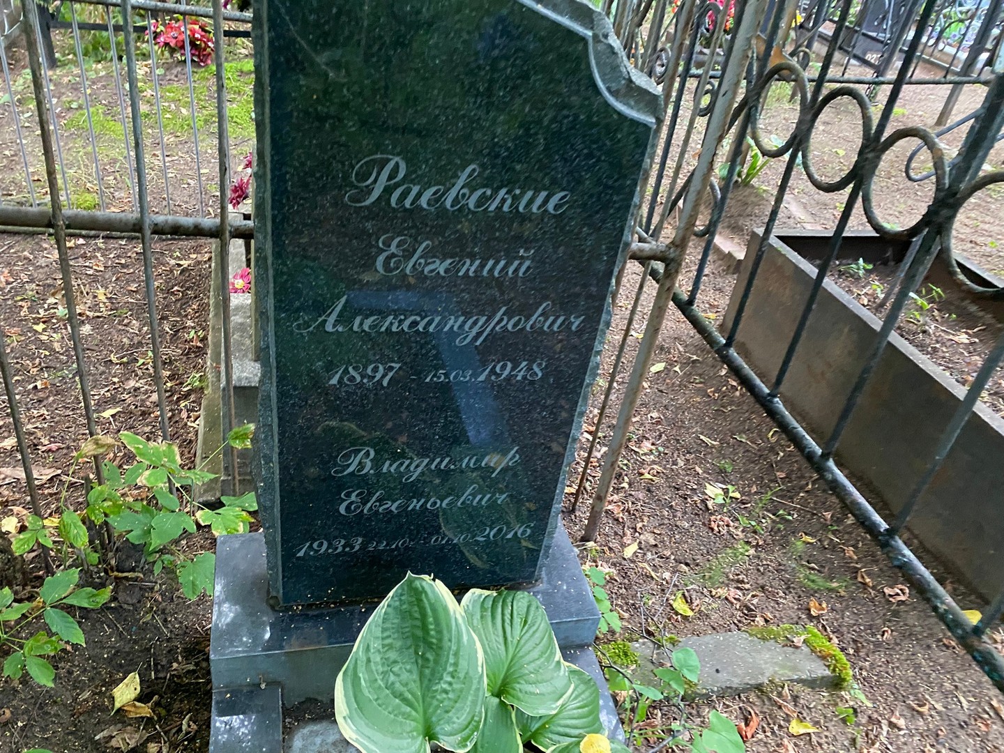 Раевский