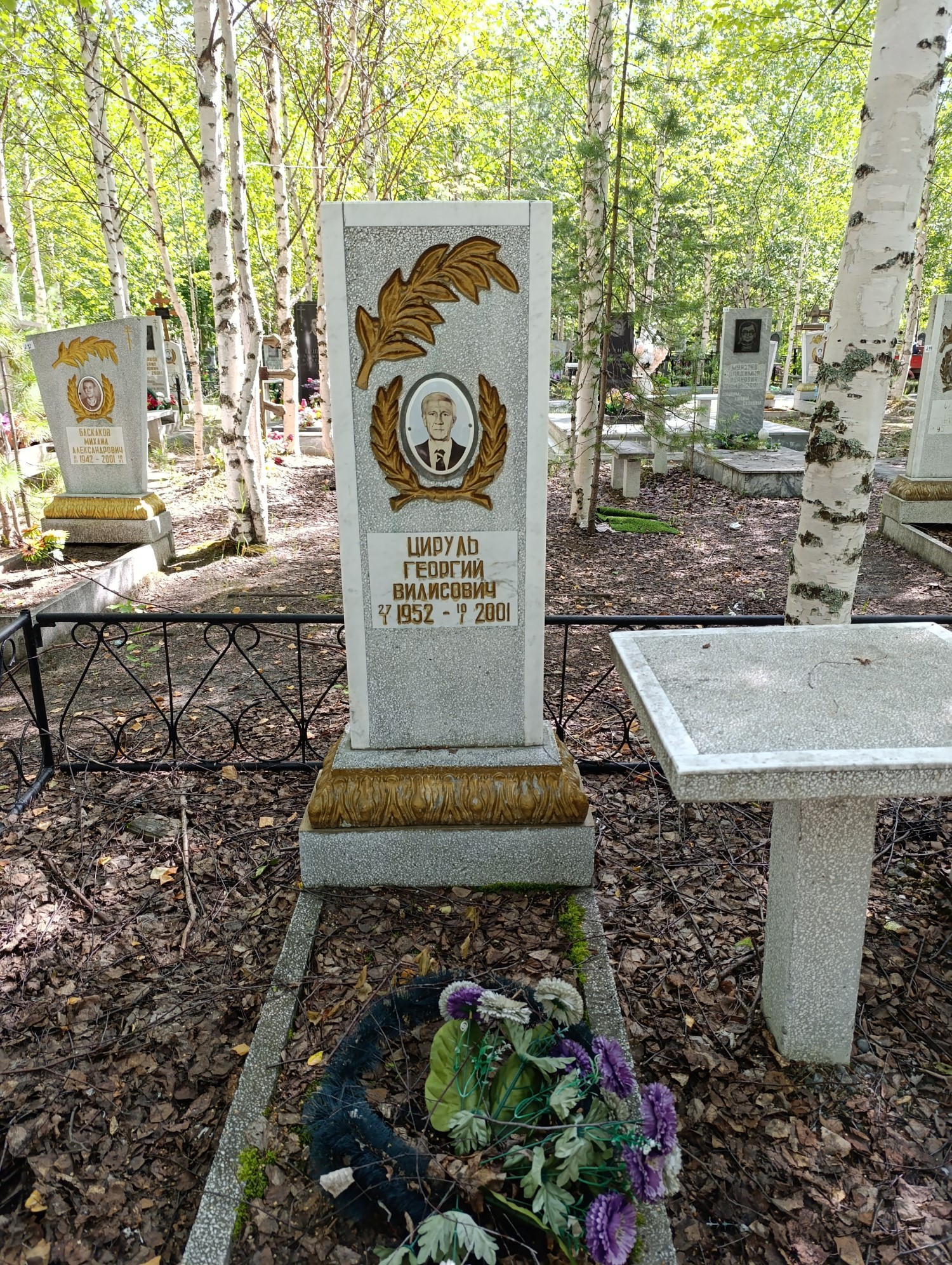 Цируль Георгий Вилисович