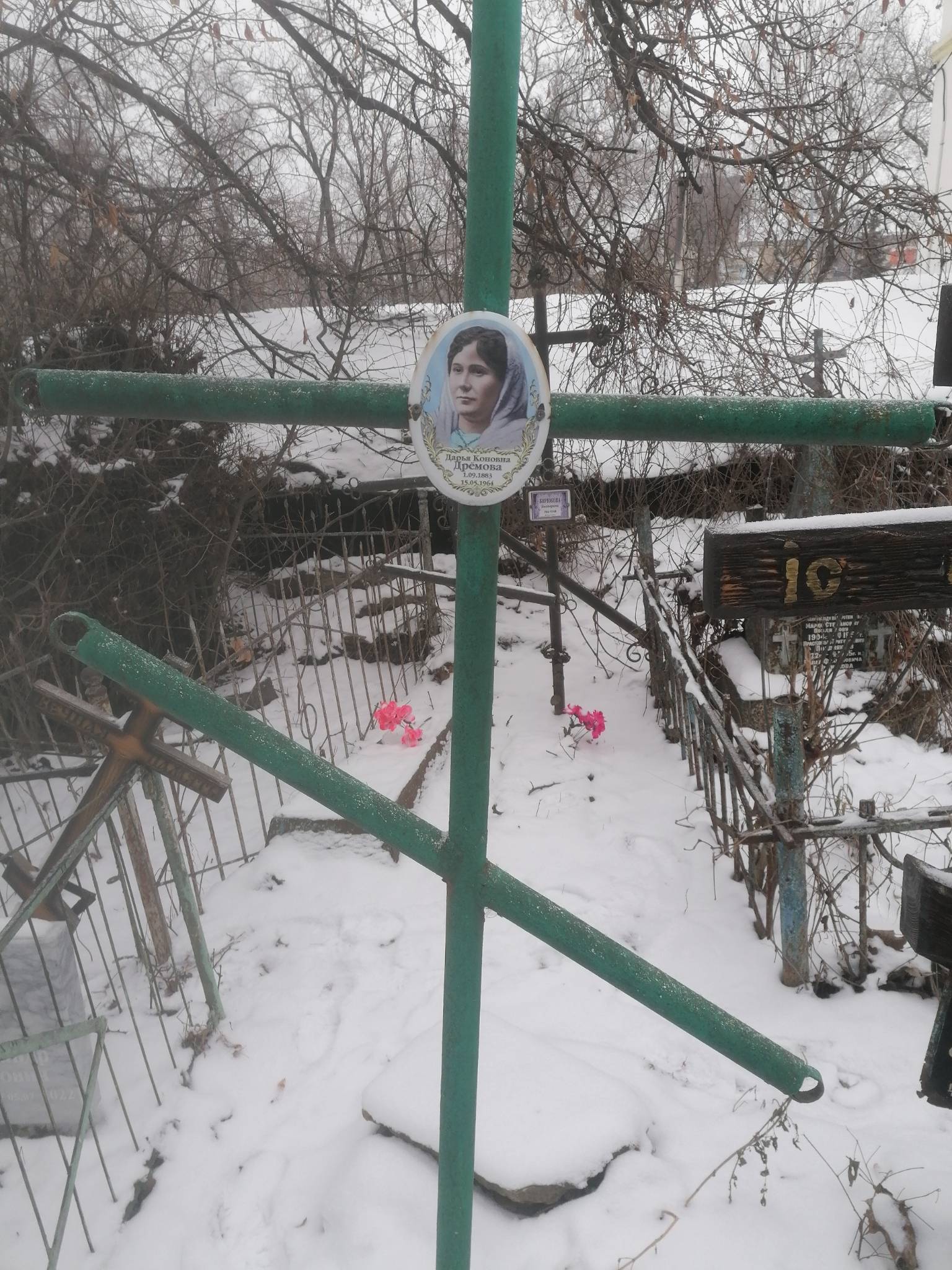 Дрёмова Дарья Коновна