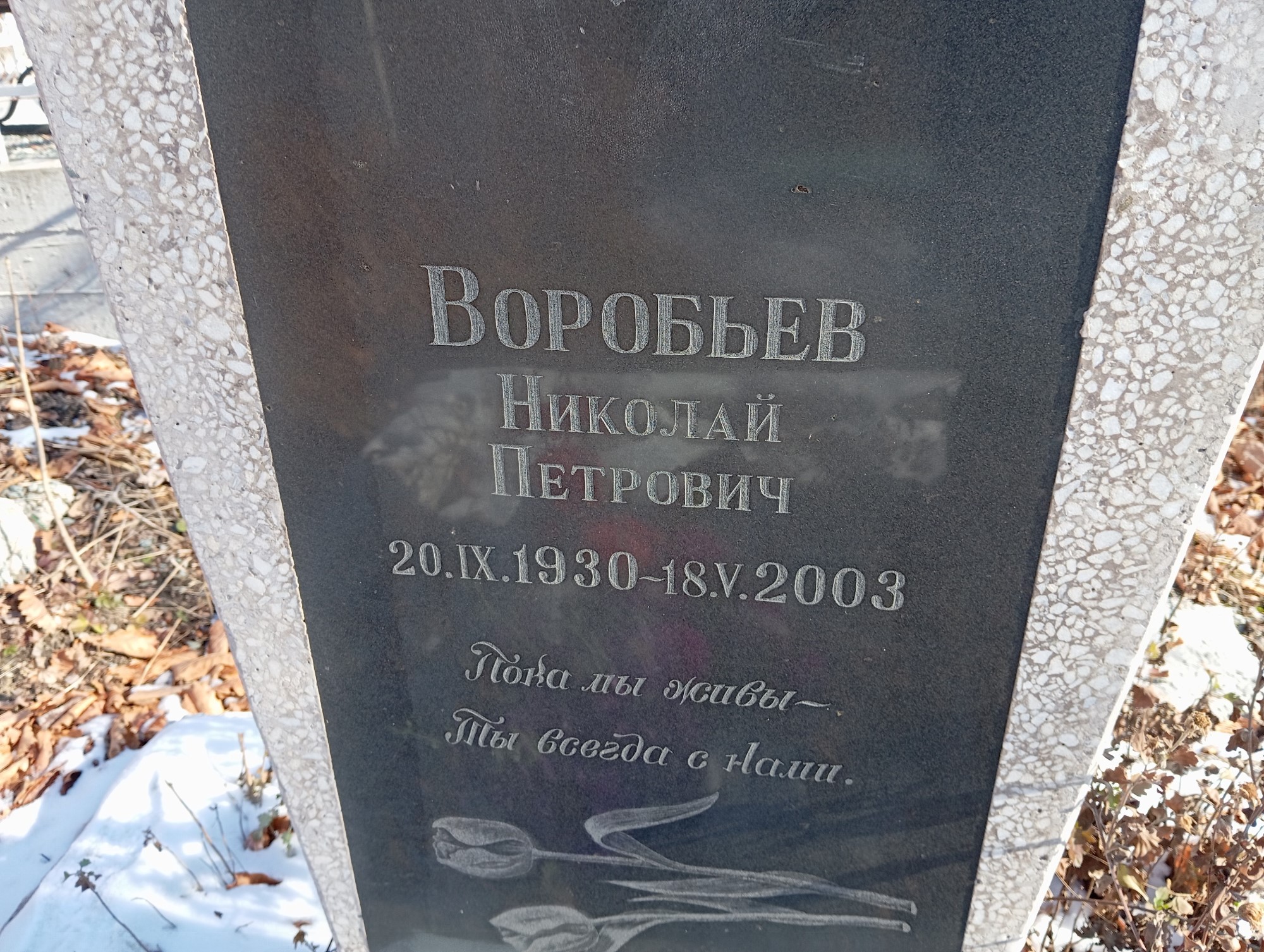 Воробьев Николай Петрович