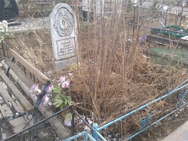 Седнева Мария Никитична