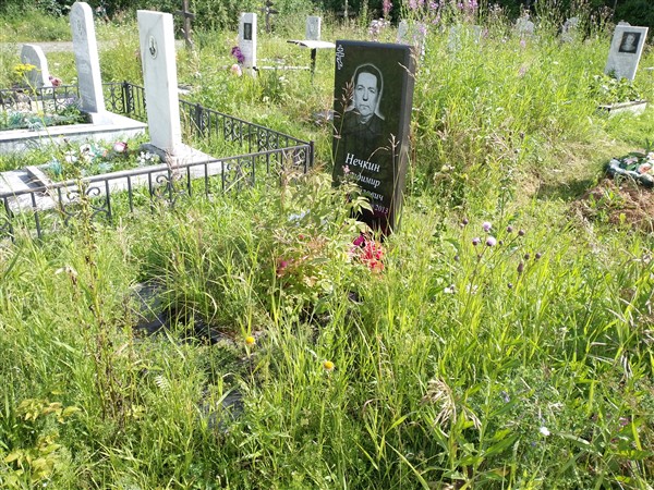 Нечкин Владимир Михайлович