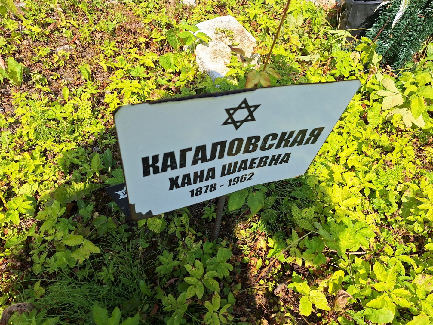 Хана Кагаловская Шаевна