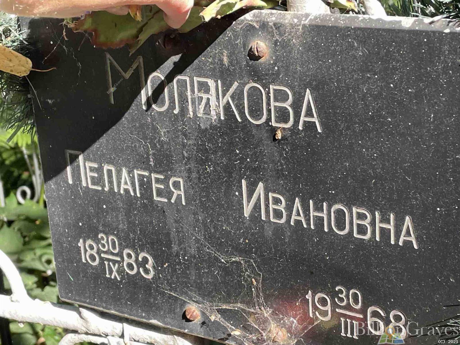 Молякова Пелагея Ивановна