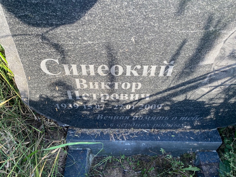 Синеокий