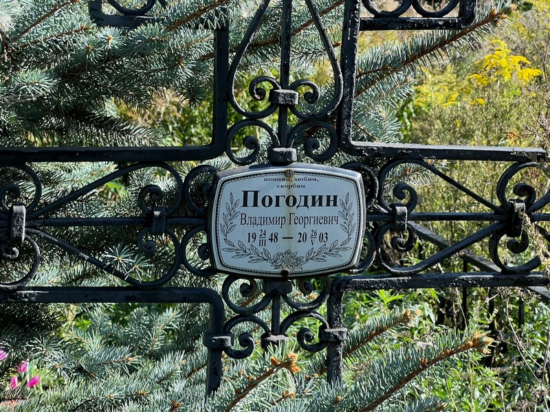 Погодин