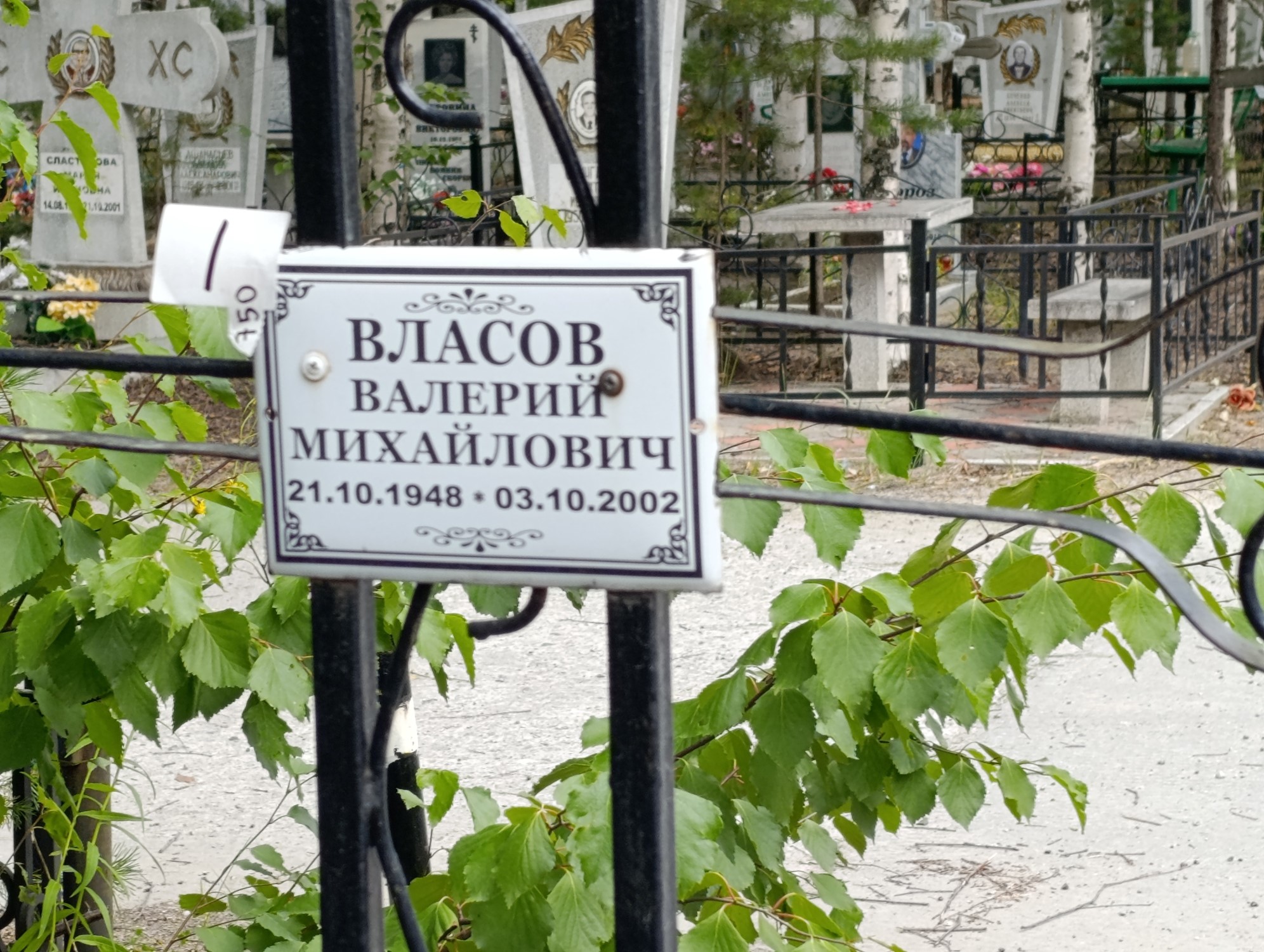 Власов Валерий Михайлович