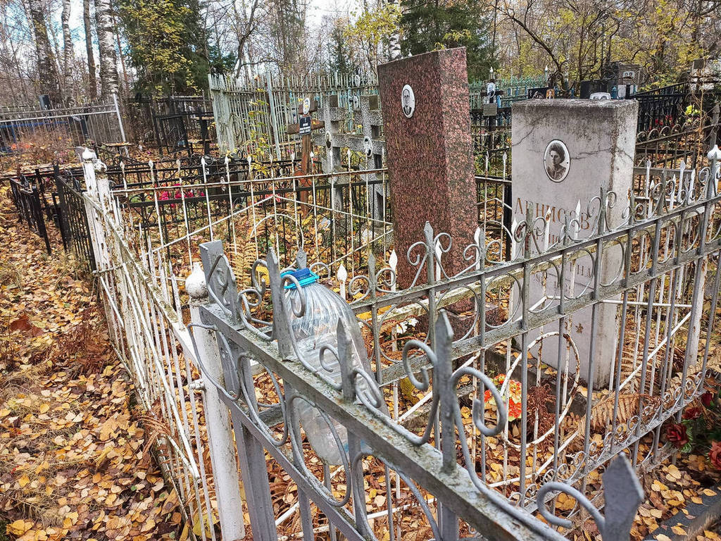 Денисов Александр Николаевич