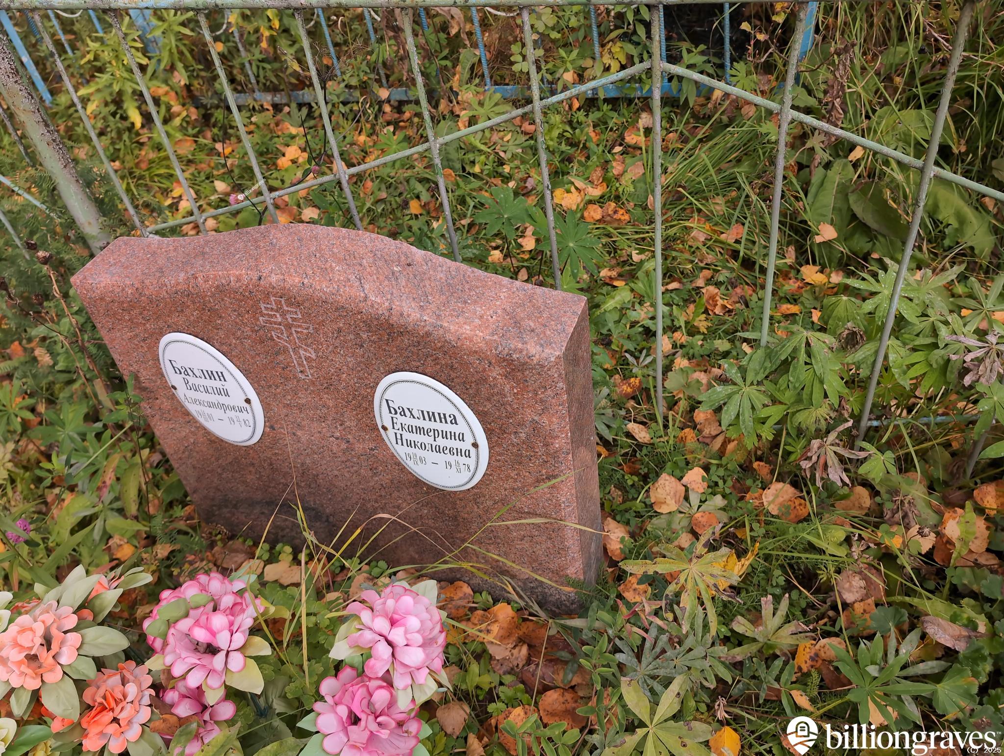 Бахлин Василий Александрович