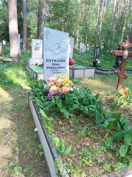 Путилова Анна Николаевна