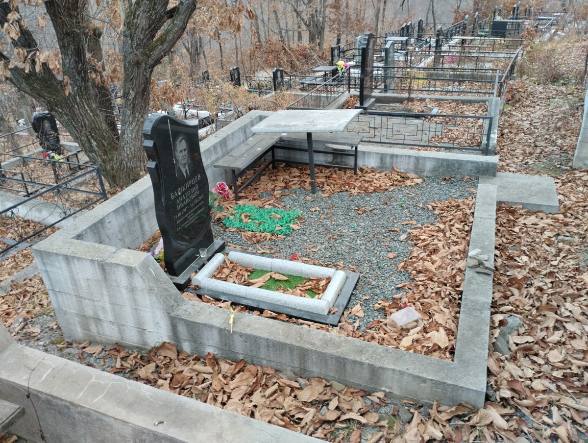 Башкирцев Анатолий Иванович