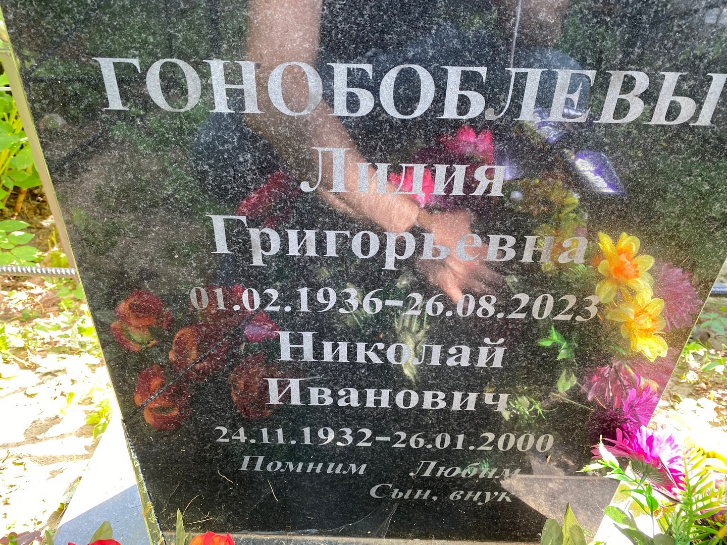 Гонобоблева