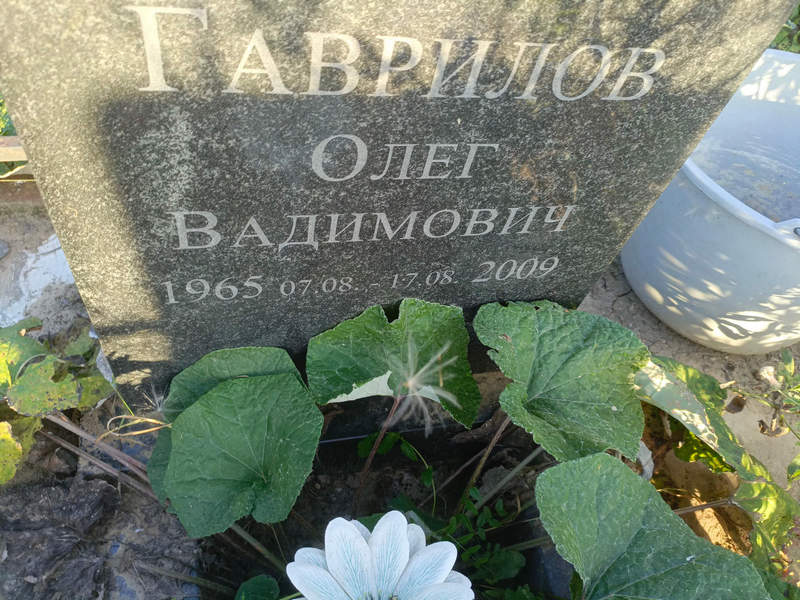 Гаврилов