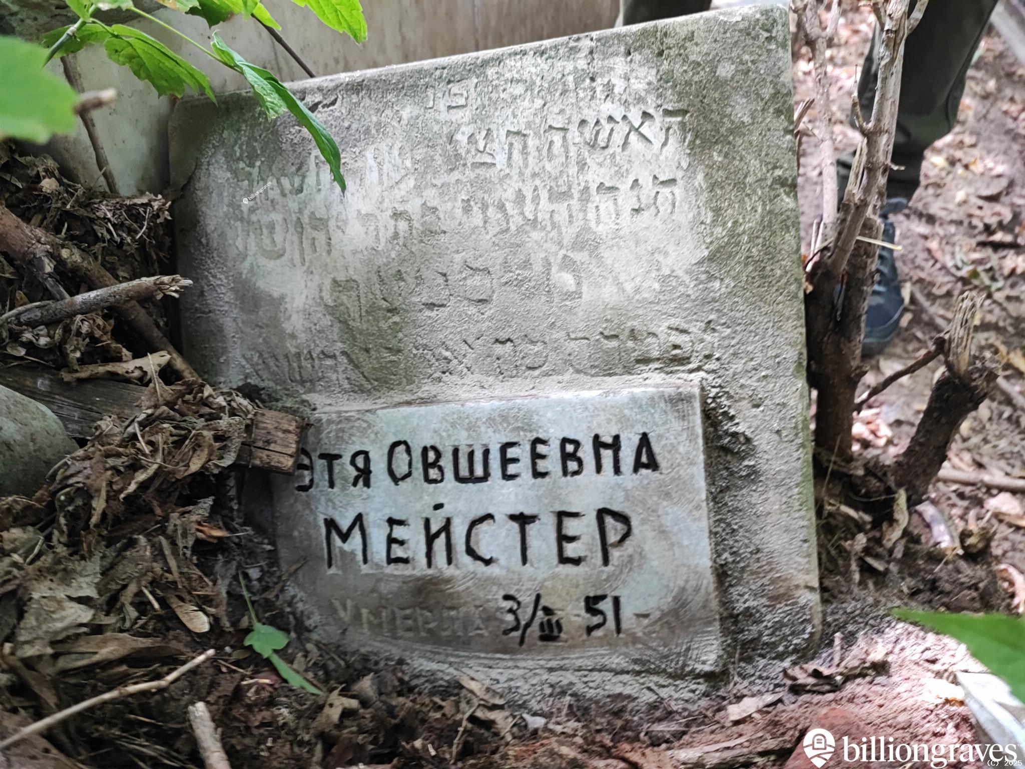 Мейстер Этя Овшеевна
