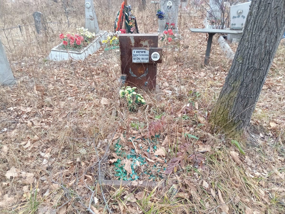 Вовчук Гавгар Галясовна