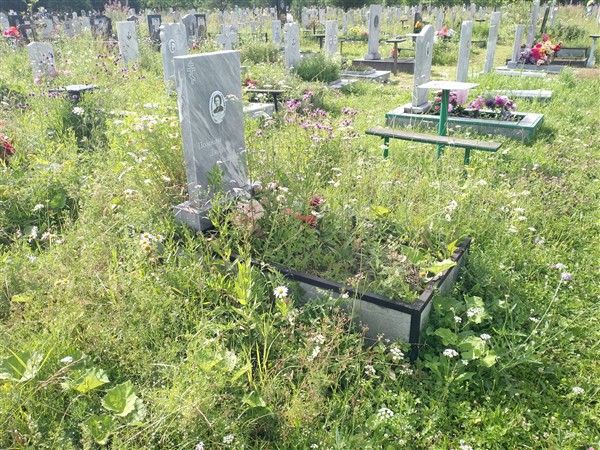 Орлова Генриетта Ильинична