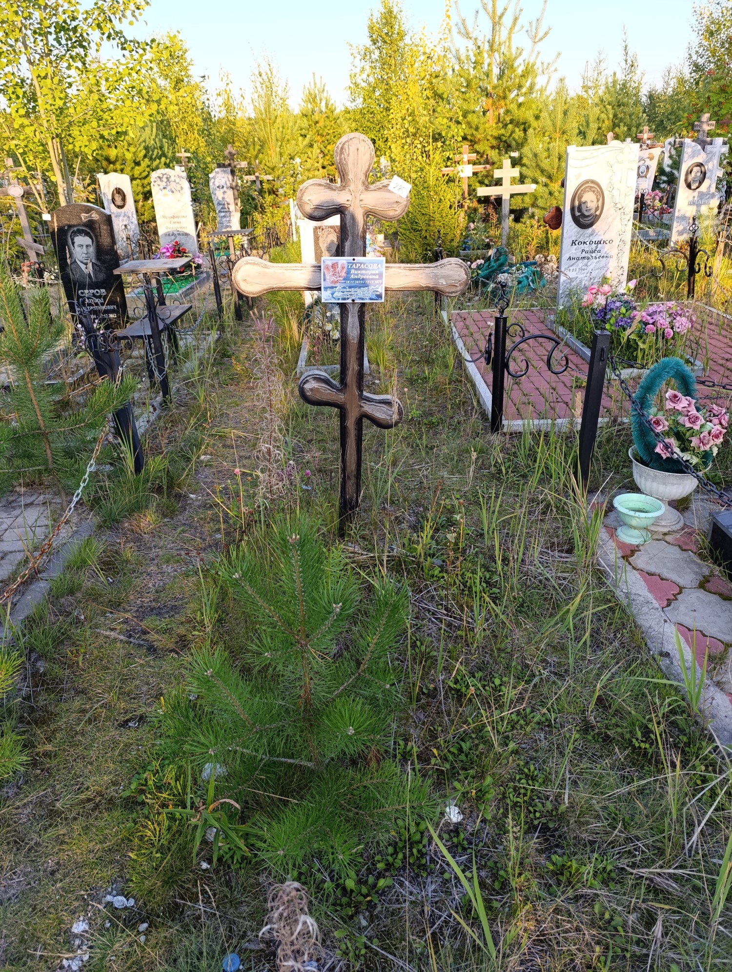 Тарасова Виктория Андреевна