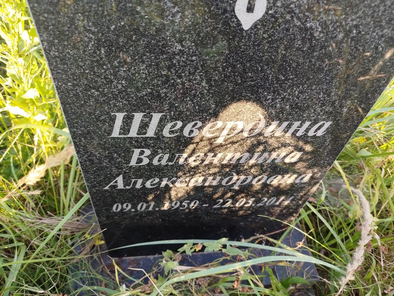Шевердина