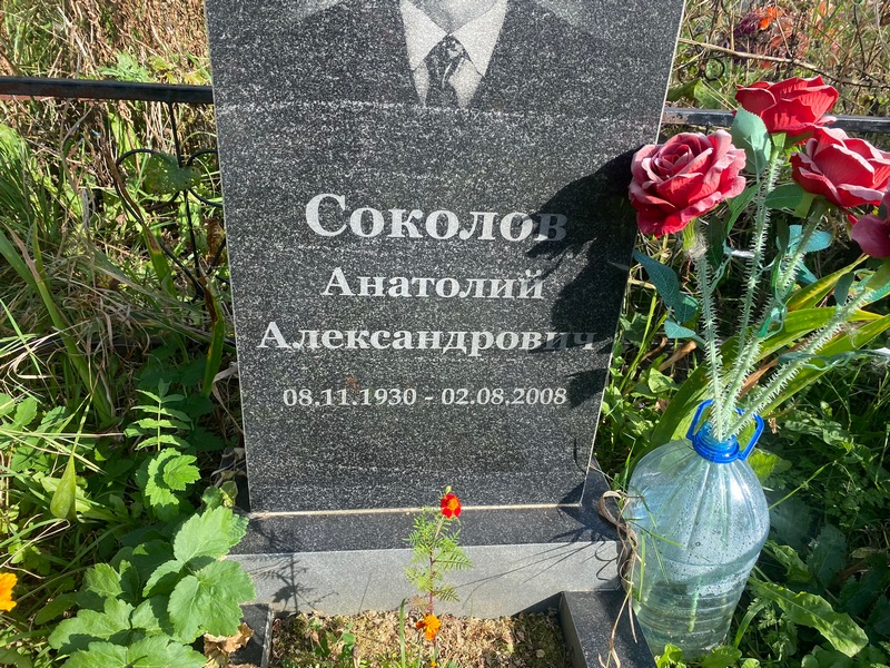Соколов
