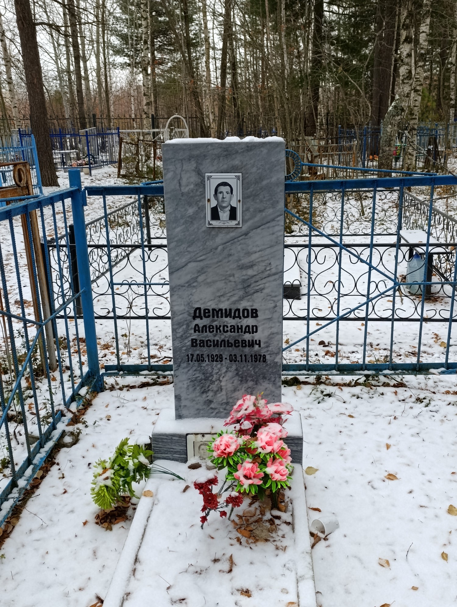 Демидов Александр Васильевич