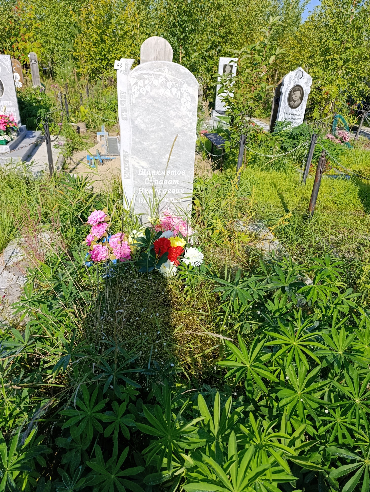 Шаяхметов Салават Николаевич