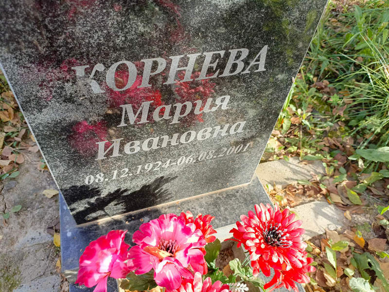 Корнева