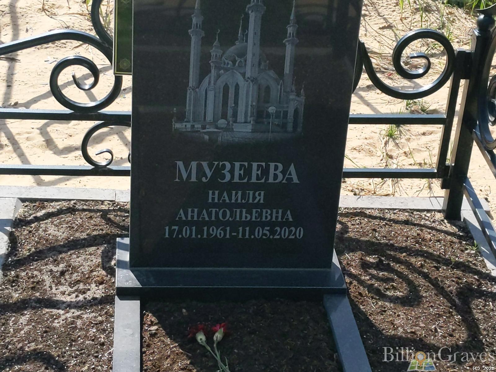 Музеева Наиля Анатольевна